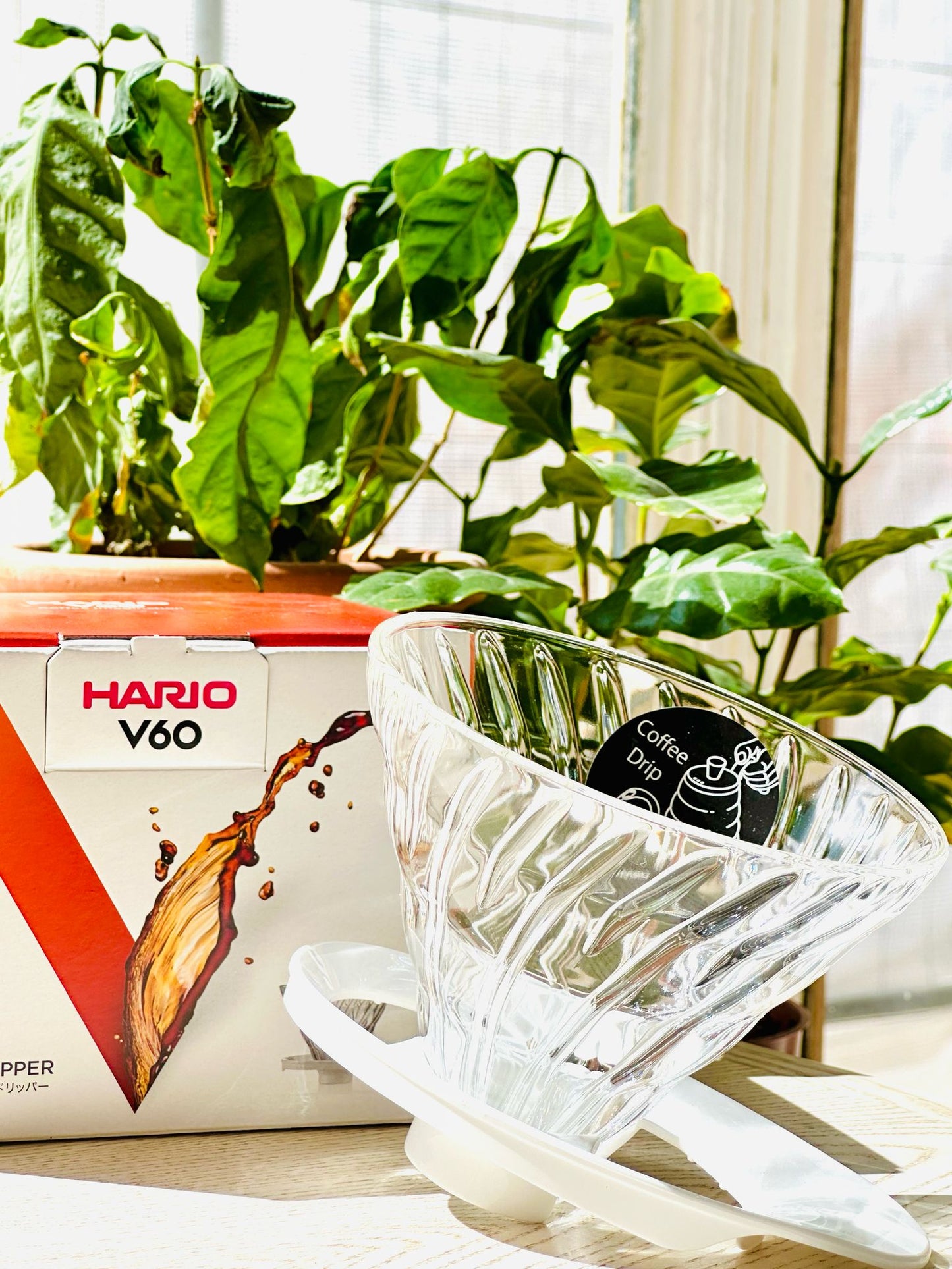 Hario V60 Glass Dripper 02