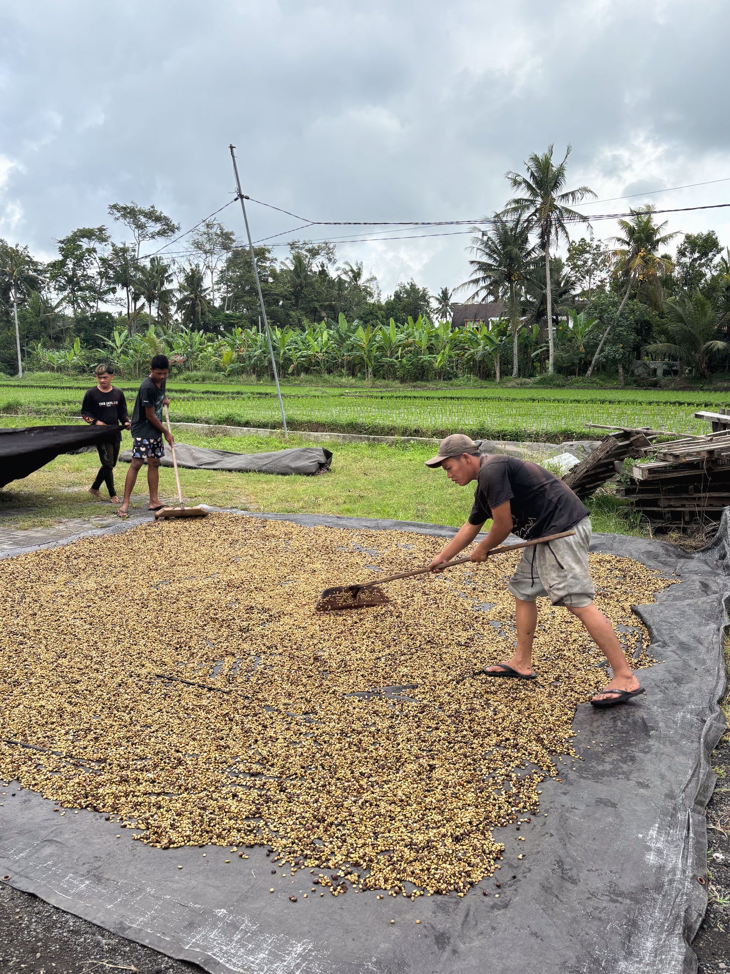 Bali Karana
